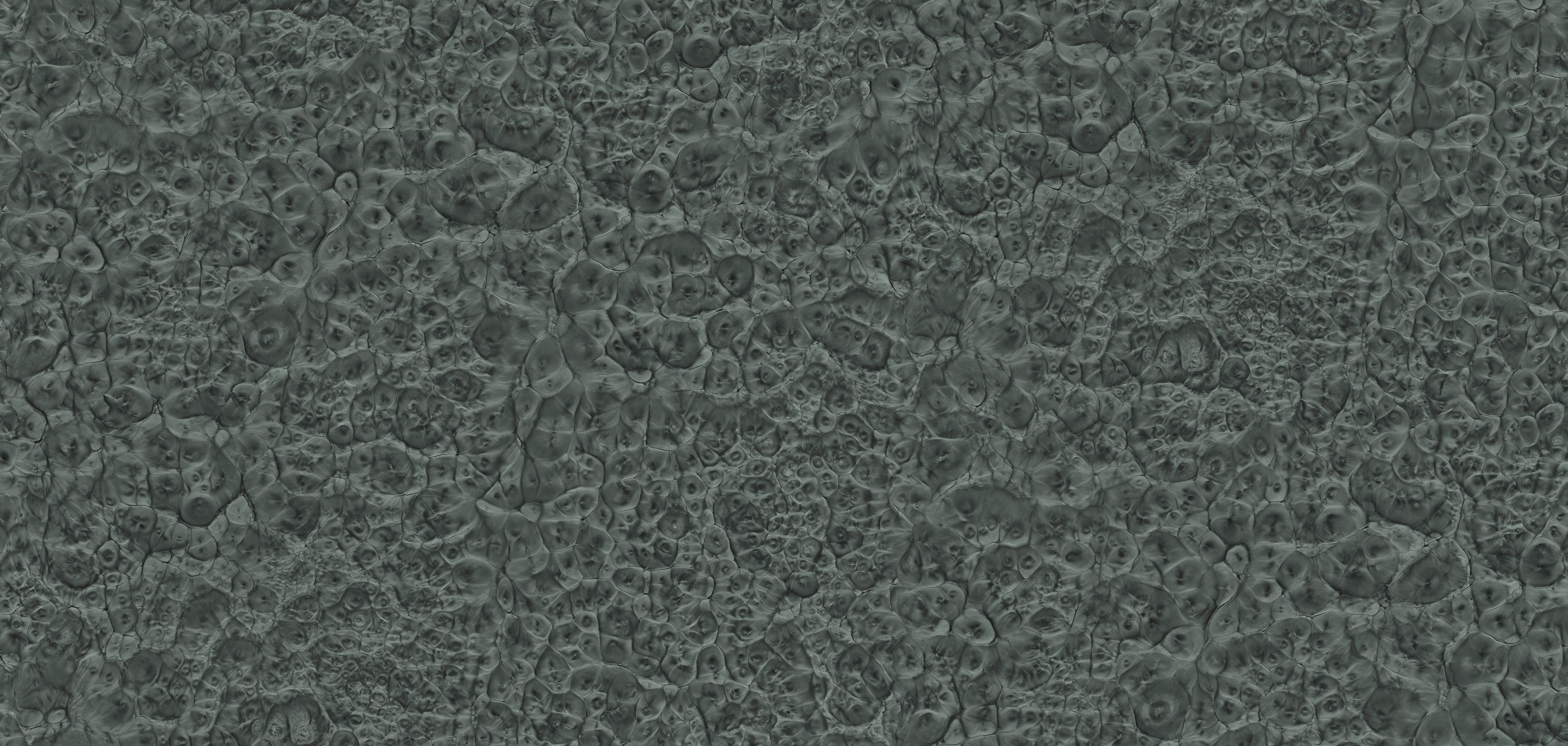 WPC Wandpaneele 52808 Stein Dekor