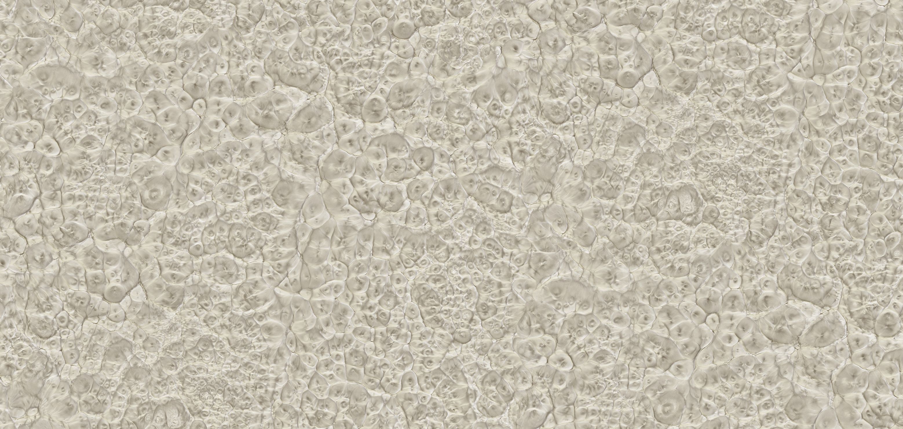 WPC Wandpaneele 52806 Stein Dekor